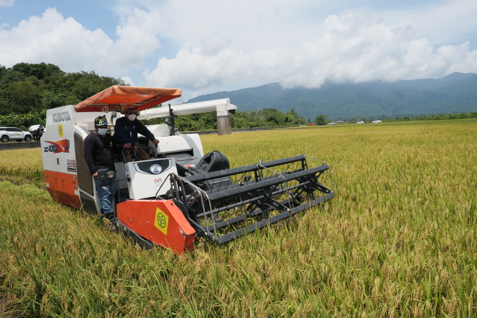 Department Of Agriculture Sarawak Official Website